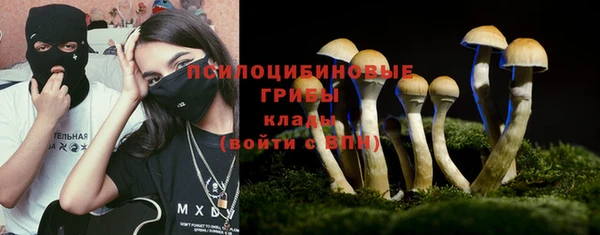 ALPHA-PVP Горняк