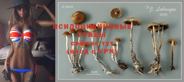 хмурый Горнозаводск