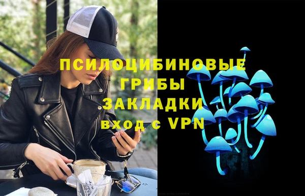 ALPHA-PVP Горняк
