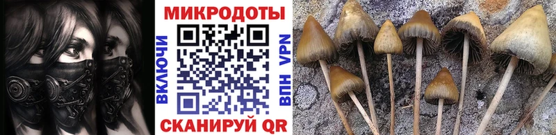 купить закладку  Облучье  Псилоцибиновые грибы мухоморы 